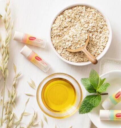 Carmex Comfort Care Ingredients