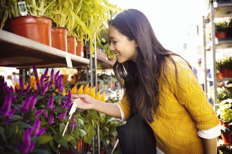 Spring Into the Perfect Flavor