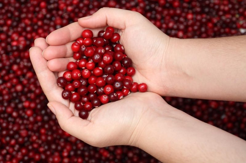 Why Cranberries