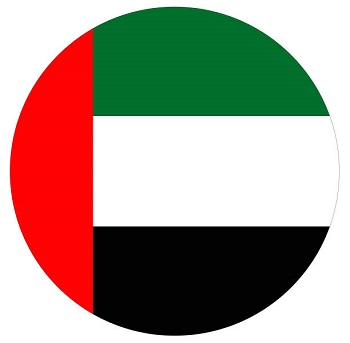 ilustración vectorial de la bandera de los Emiratos Árabes Unidos